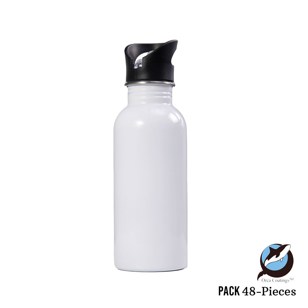 Stainless Steel Sport Bottle - Straw Top | 20 oz | Wholesale - Silver