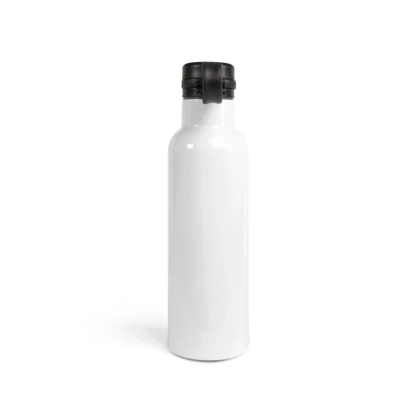 20 oz. Insulated Sport Water Bottle with Loop-Top Lid